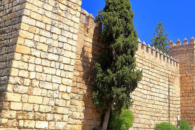 Tour Seville Complete and Jewish Quarter Santa Cruz - Monumento a la Inmaculada Concepcion and Giraldillo: icons that trick your eye