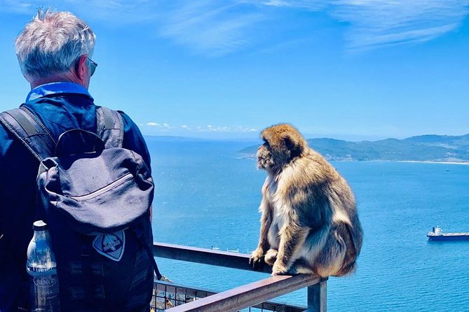 Tours of Gibraltar - STANDARD TOUR - How the 1 hour 45 minutes tour really plays out