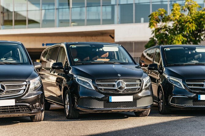 Transfer Hotel Seville-Seville Airport - Vehicle Choice for Real Life: Luggage, Groups, and Kids