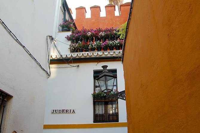 Unmissable Seville private tour - Climbing the Giralda for city views that actually teach you the city