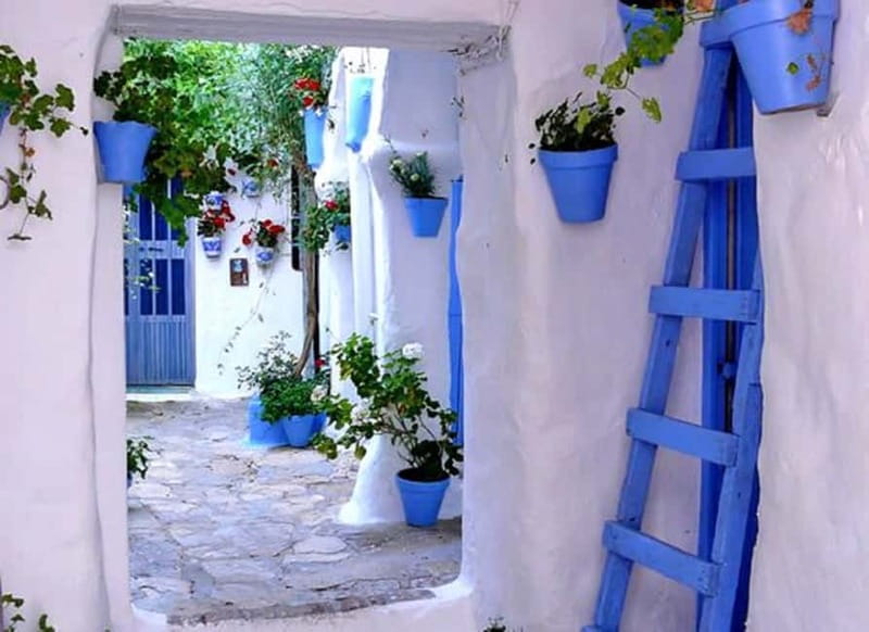 Vejer and Conil: Tour from Jerez, El Puerto, Cádiz, Chiclana - The Walking Reality, and Who This Tour Fits Best
