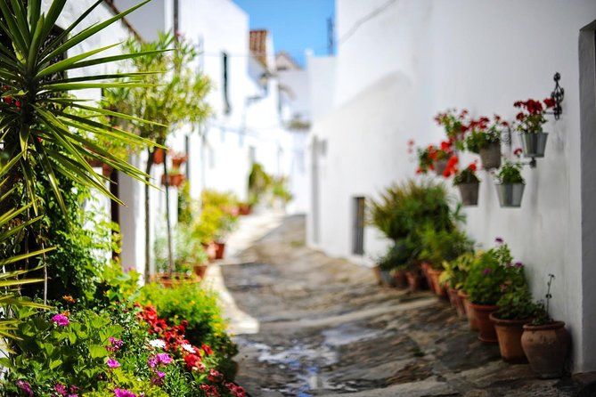 Vejer de la Frontera & Bolonia Beach Private Tour from Cadiz - Private pickup from Cádiz, and why the day feels efficient