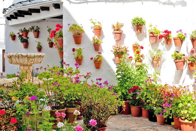 Vejer de la Frontera & Bolonia Beach Private Tour from Cadiz - Baelo Claudia: the Roman ruins stop you’ll want to slow down for