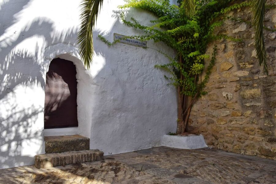 Vejer de la Frontera (Cádiz): Historical Walking Tour - Windmills, Don Quixote Vibes, and the Juanino Option