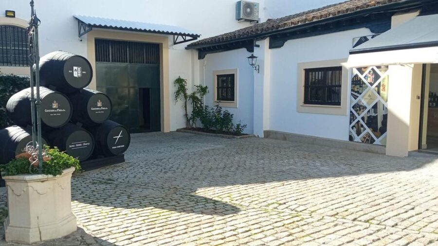Visit a century-old winery in the centre of jerez - The label exhibition module, vintage bottles as art
