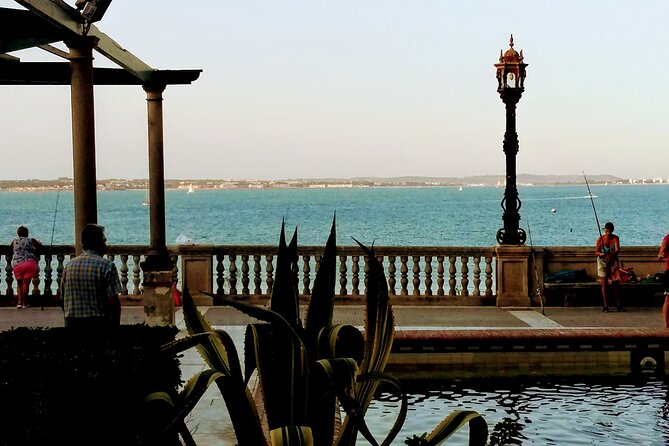Visit Cádiz as if You Lived There - Alameda Apodaca and the ficus story you will want to remember