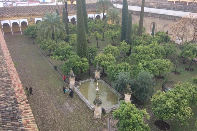 Visit in Spanish to the Cathedral Mosque. Does not include entrance ticket - How to use the extra time after the guided portion ends
