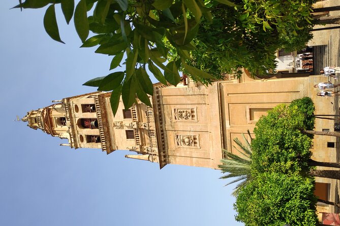 Walking Tour in Heritage center of Cordoba - The “unique building in the world” moment