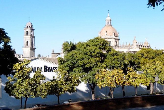 Walking tour in Jerez - Key Highlights You Should Know Before You Go