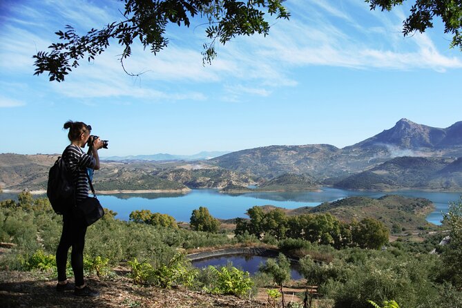 White Villages and Ronda Day Tour from Seville - White Villages and Ronda: What This Tour Is Actually Good For
