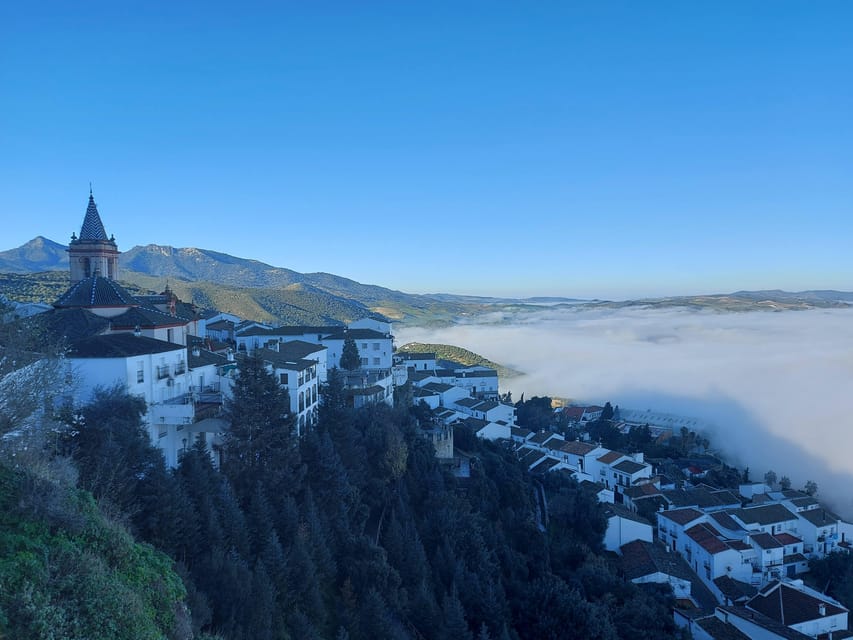 White Villages and Ronda Day Trip from Seville - Sierra de Grazalema Natural Park: fir forests and bird-spotting breaks