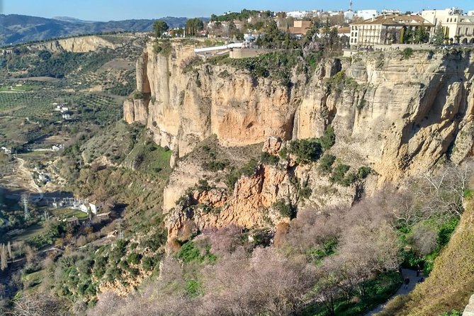 White Villages and Ronda Guided Day Tour from Seville - Price and value: what you are paying for at $95.58