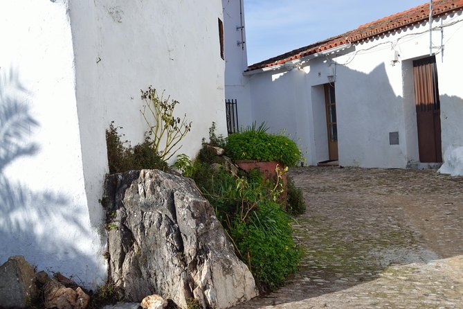 White Villages of Huelva private full day tour - Stop 6: Back in Aracena, Iberian pig pasture and the ham link