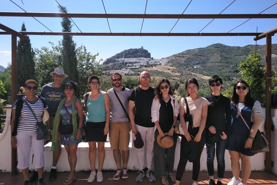 White Villages & Ronda 2-Days Trip & Overnight Stay - Ronda the full way: Puente Nuevo and Alameda Gardens, plus guided orientation