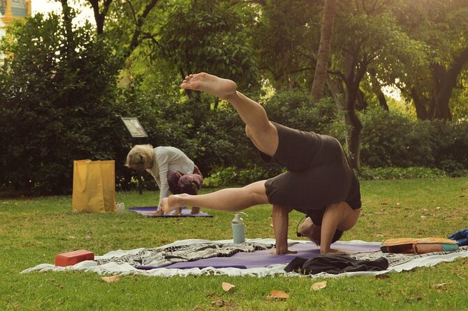 Yoga at María Luisa Park in Seville - Practicing in María Luisa Park, trees, shade, and birds included