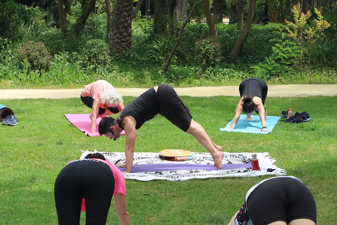 Yoga at María Luisa Park in Seville - Price and timing: solid value for Seville, with a small-group feel