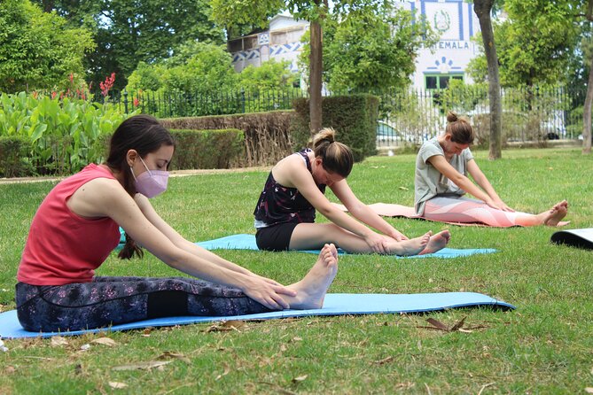 Yoga at María Luisa Park in Seville - Who should book this class, and who should be cautious