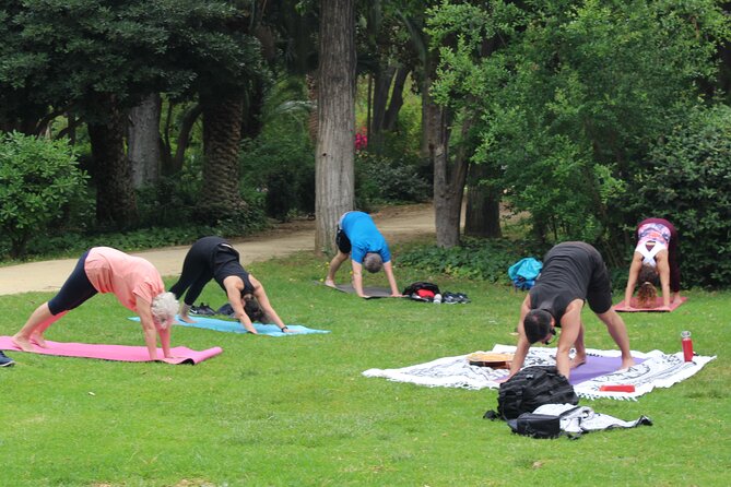 Yoga at María Luisa Park in Seville - Instructor Jesus: supportive corrections and adaptation for real bodies
