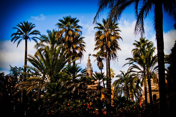 “Your First Day in Seville, the Local Way” - Real Alcázar Exteriors: Learning the Story Without the Rush